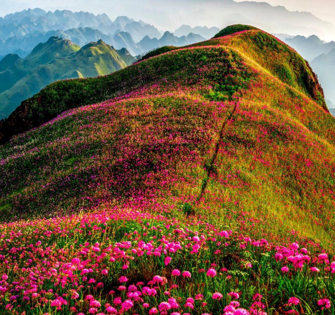 大同到包頭的長途汽車幾點發車，在哪個車站
